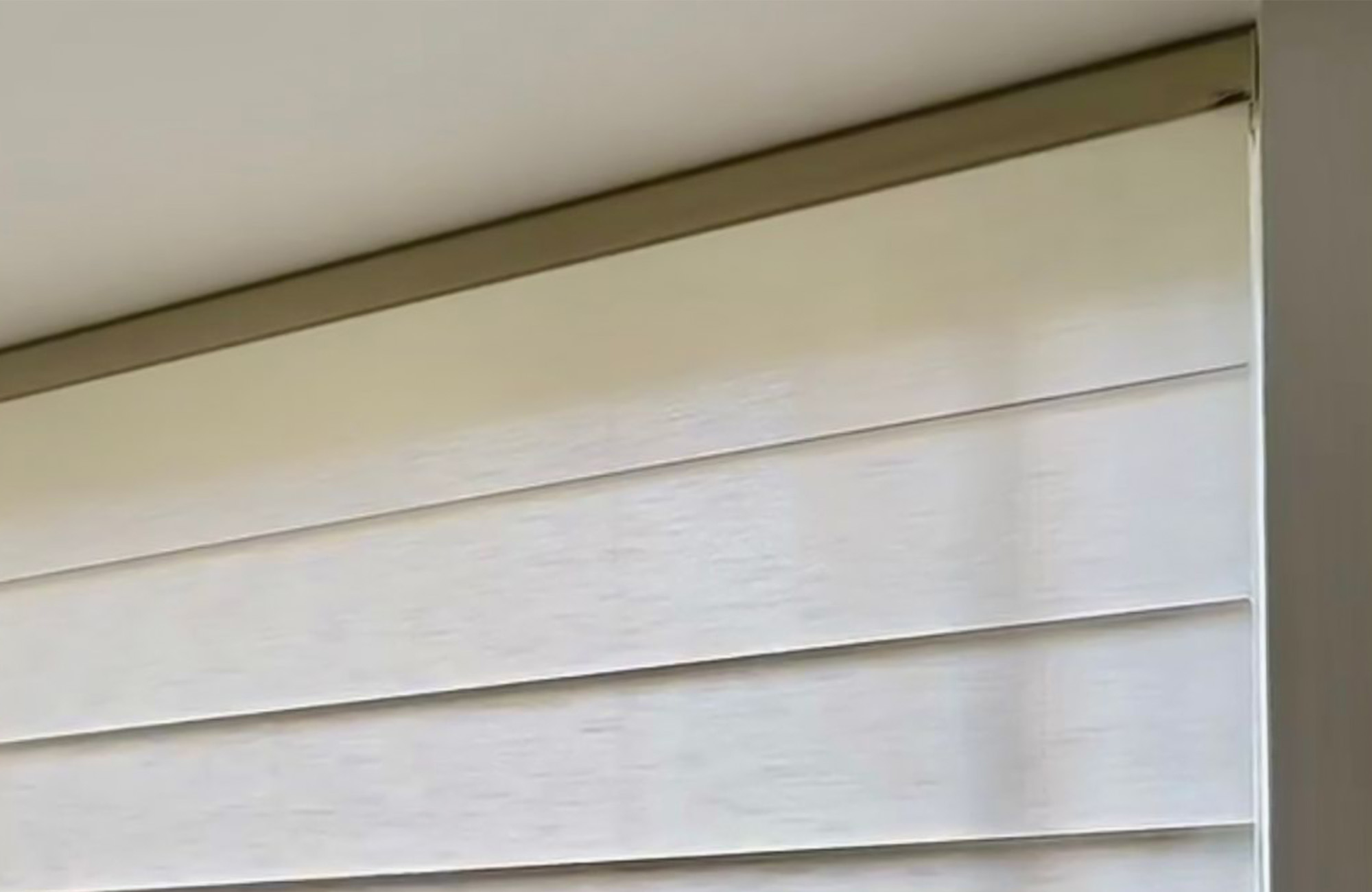 Romana Bogotá — DCORT