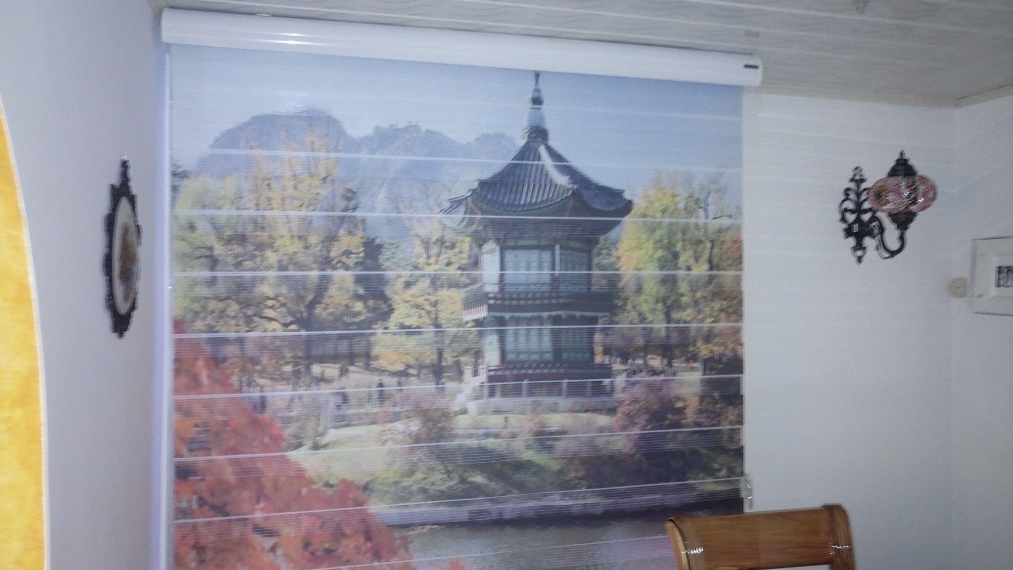 Estampados — DCORT