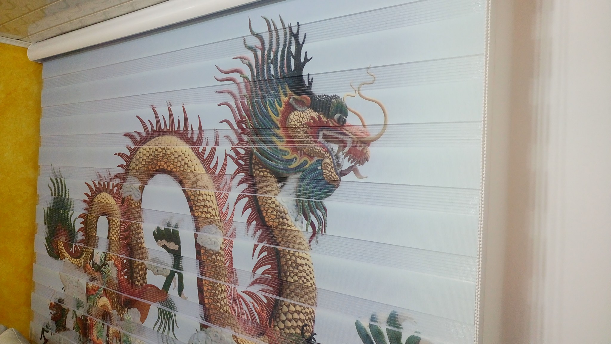 Estampados — DCORT