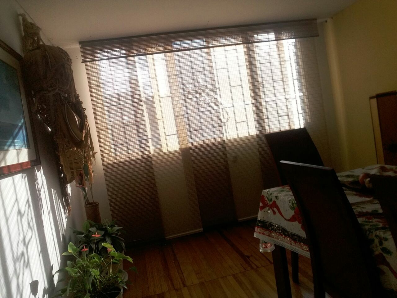 Panel Japonés — DCORT