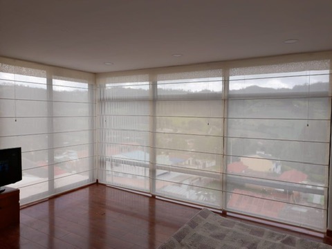 Panel Japonés — DCORT