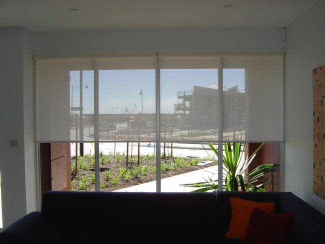 Screen & Enrollable — DCORT