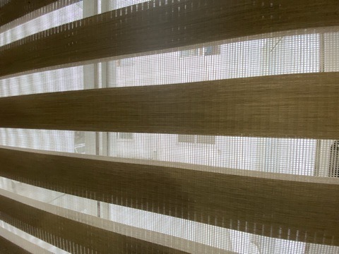 Sheer Elegance — DCORT