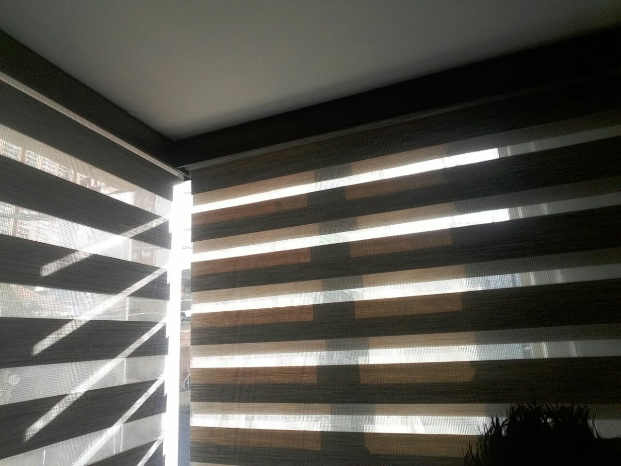 Sheer Elegance — DCORT