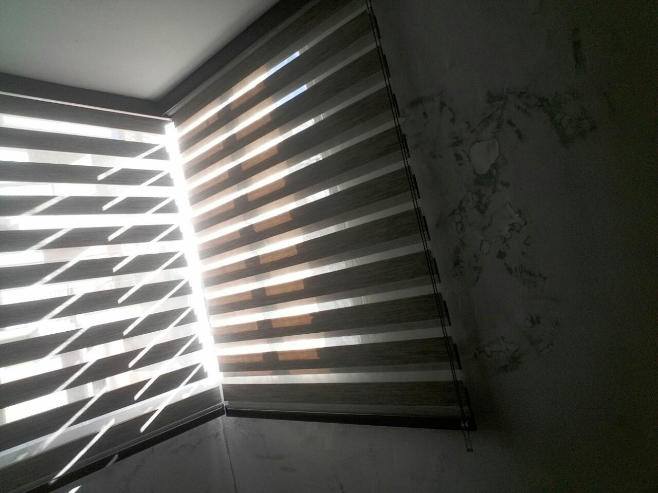 Sheer Elegance — DCORT