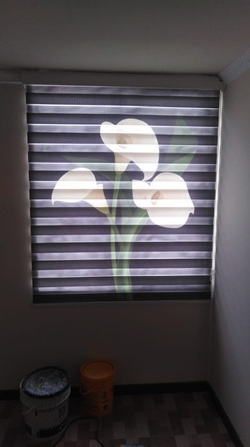 Sheer Elegance — DCORT